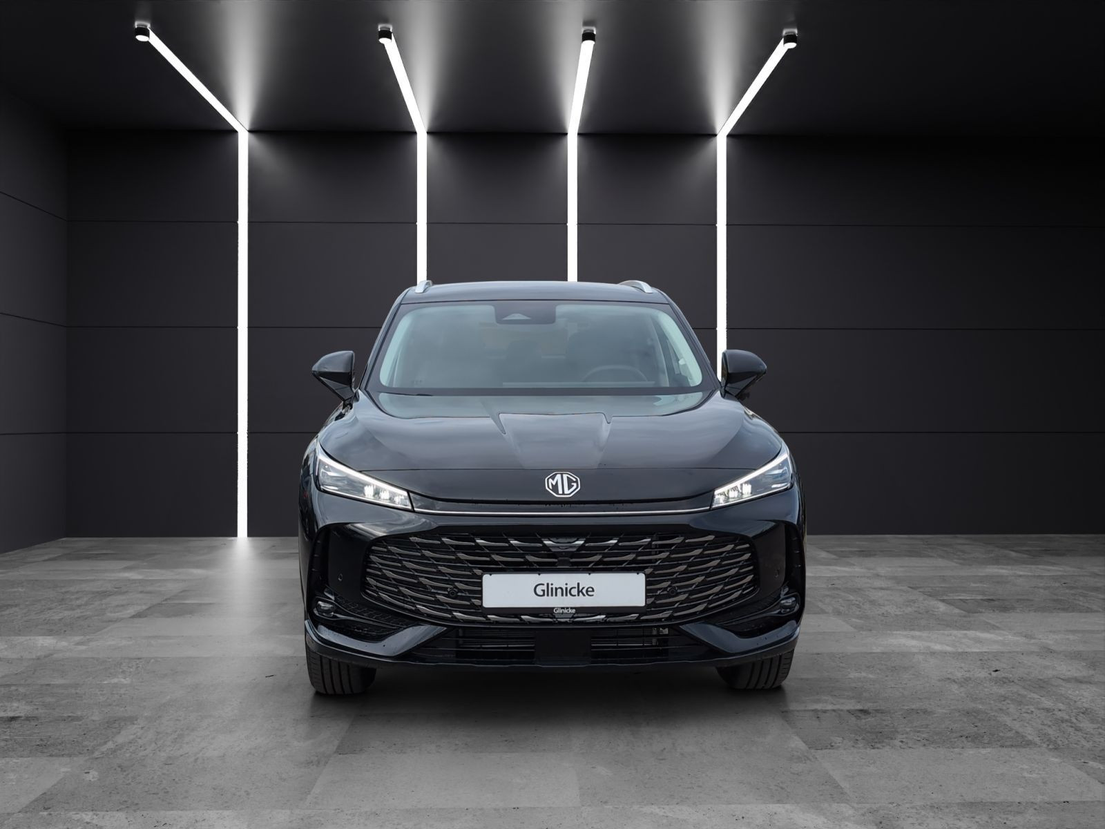 MG - HS_8 MG - HS_8