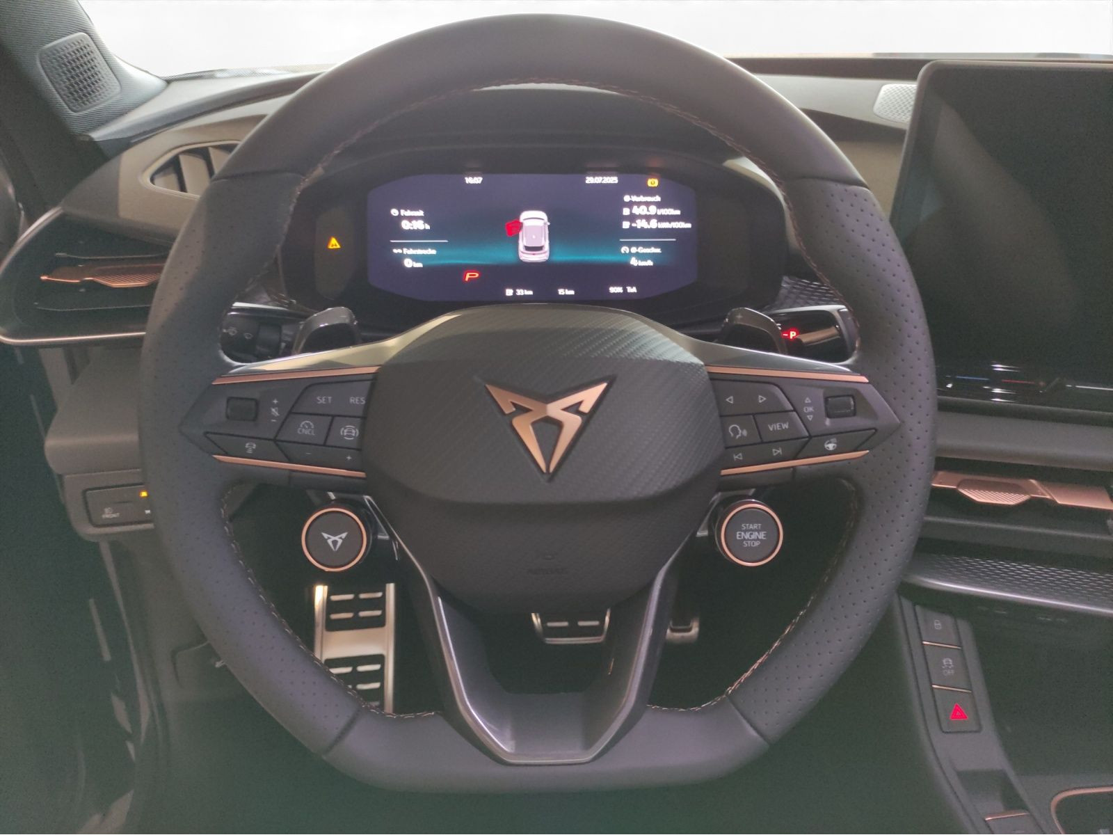 Cupra - Terramar_12