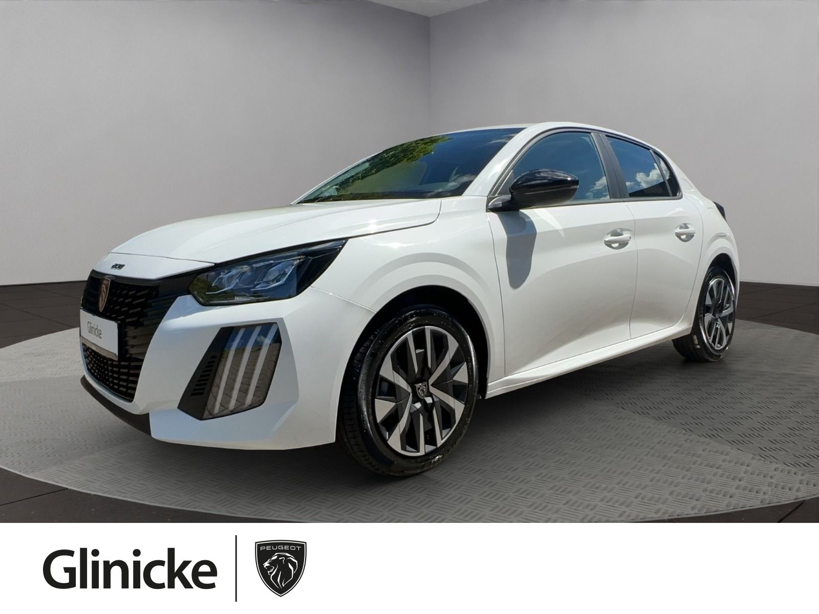 208 Active PureTech 100