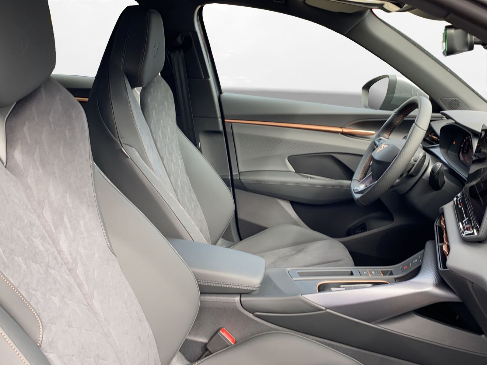 Cupra - Terramar_20