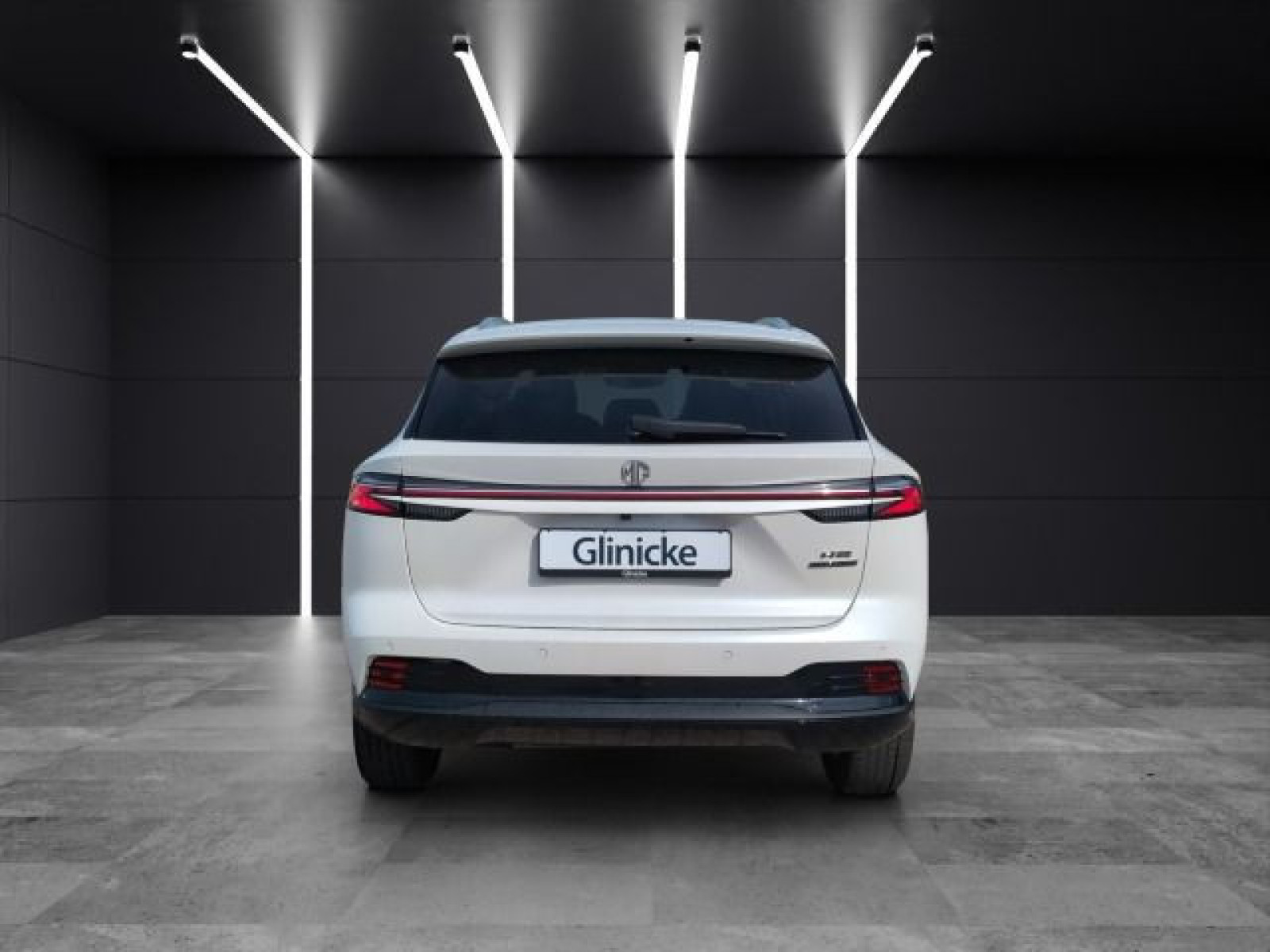 MG - HS_4 MG - HS_4