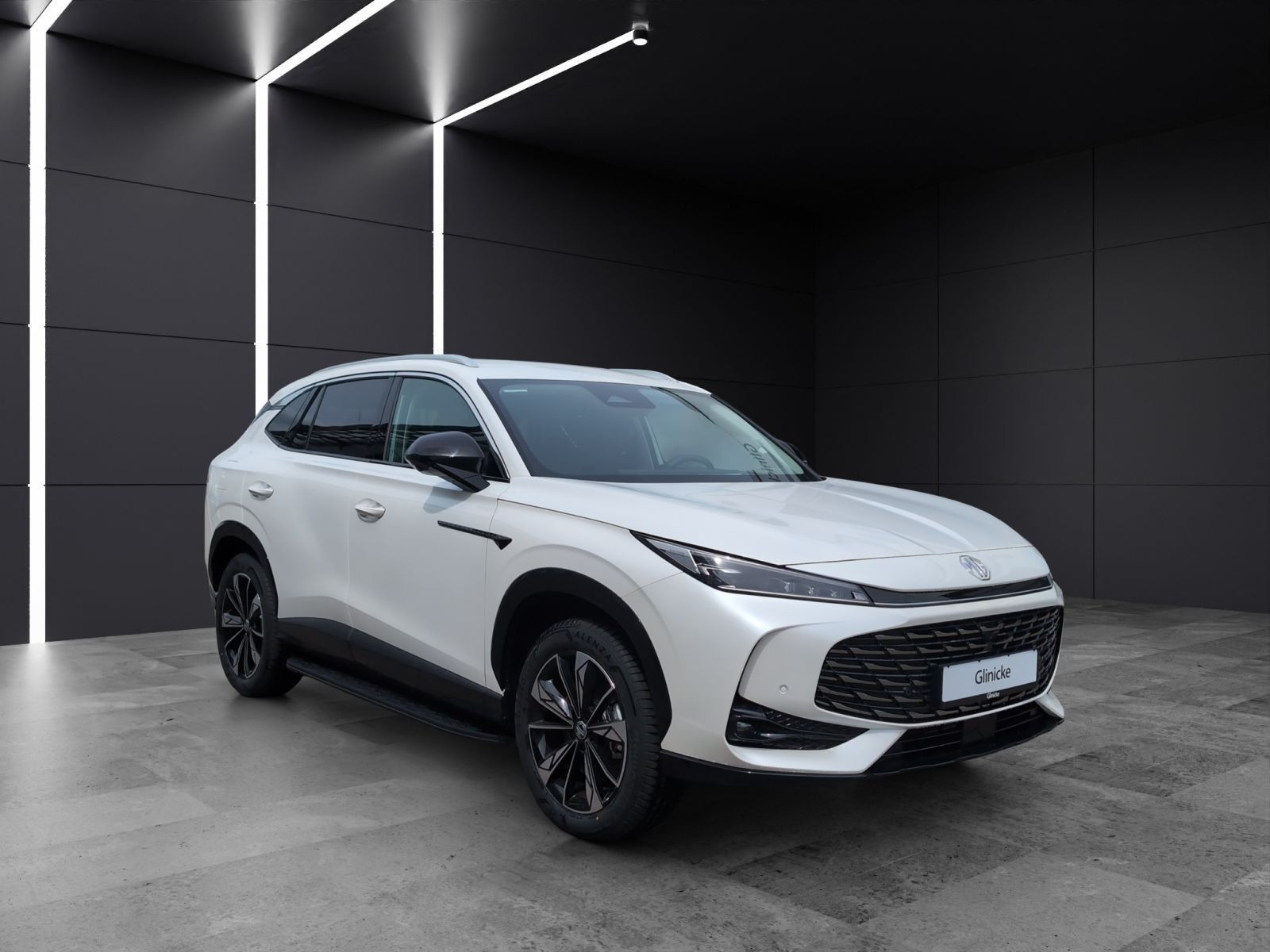 MG - HS_7 MG - HS_7