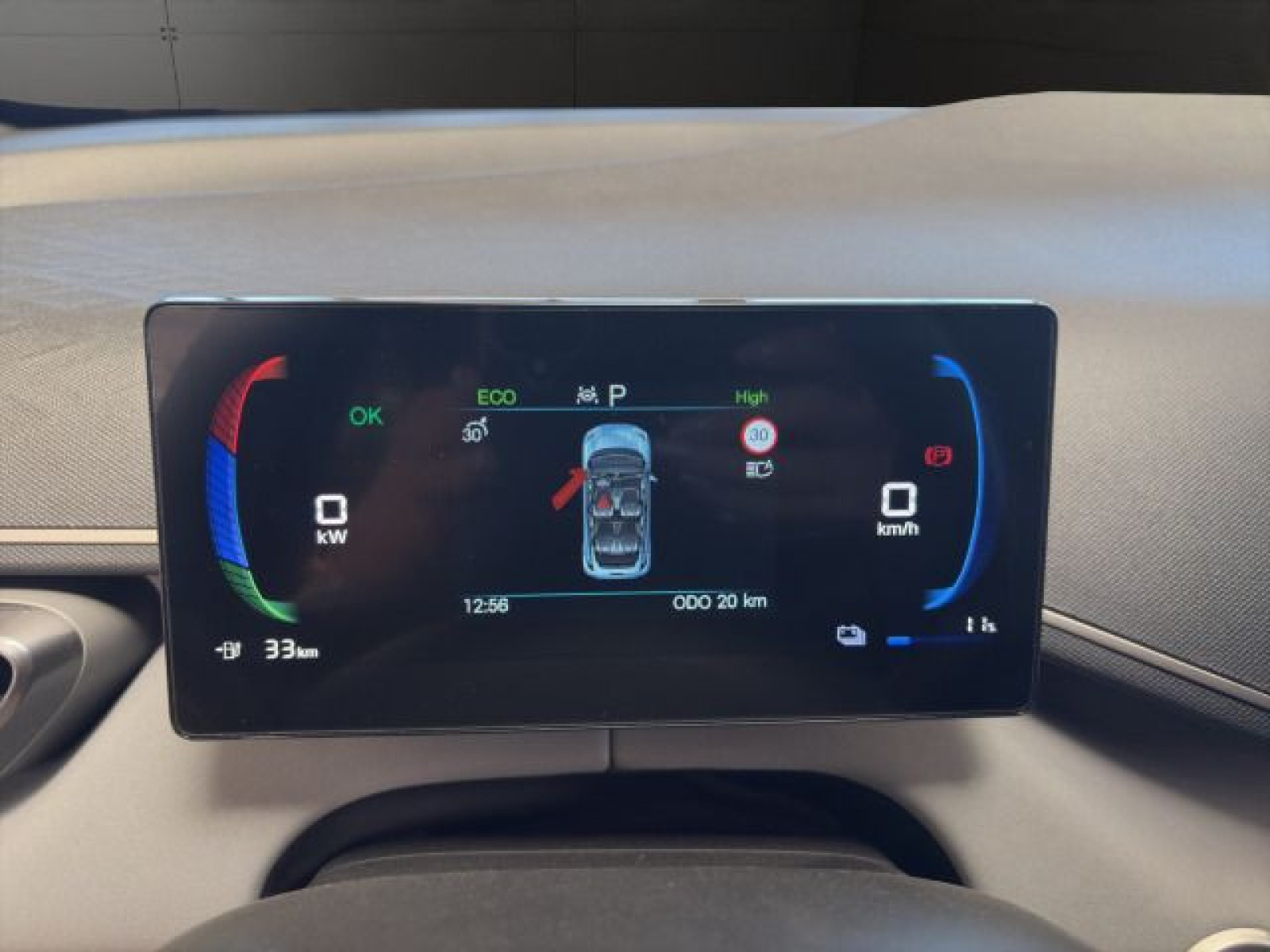 BYD - DOLPHIN_11