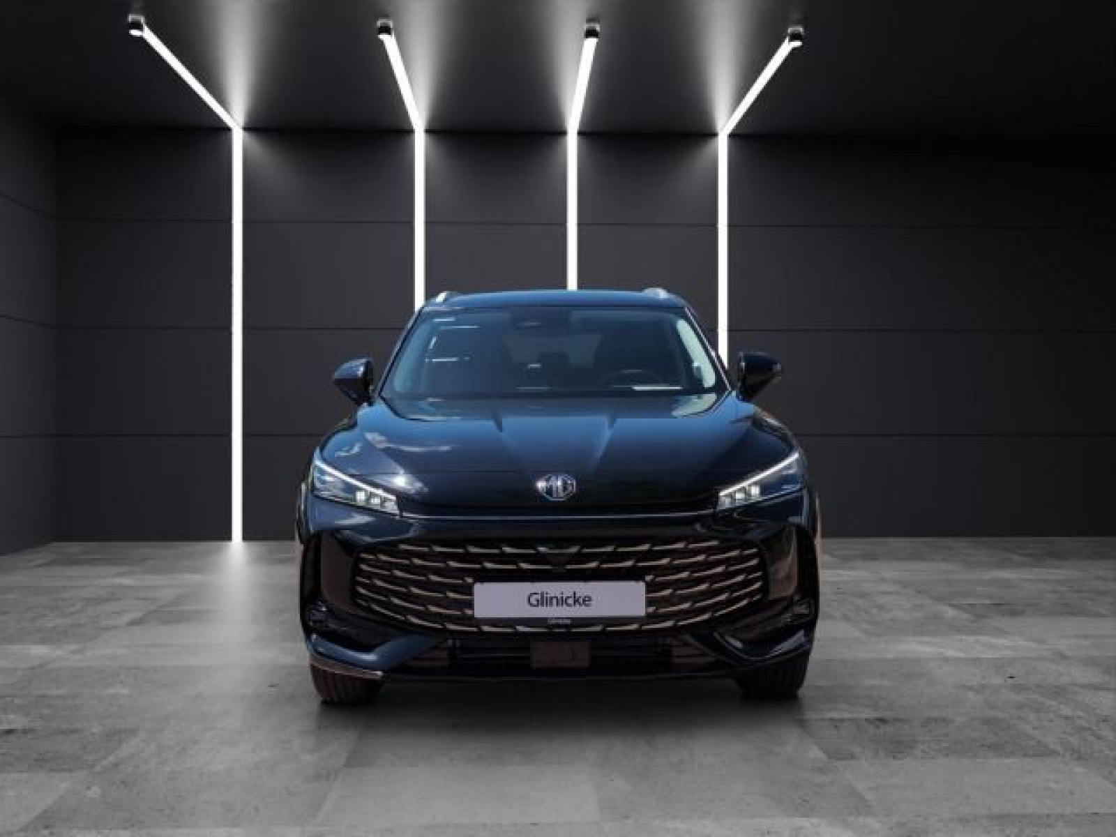 MG - HS_8