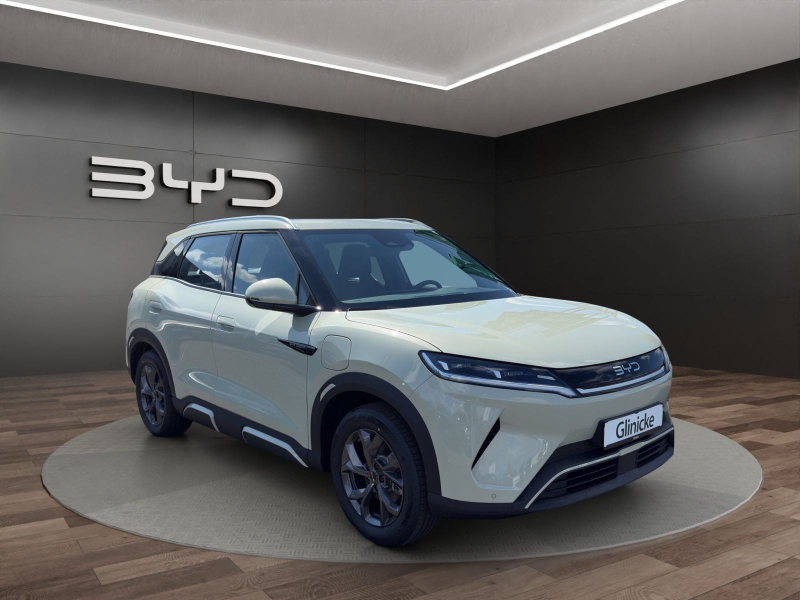 BYD - ATTO 2_8