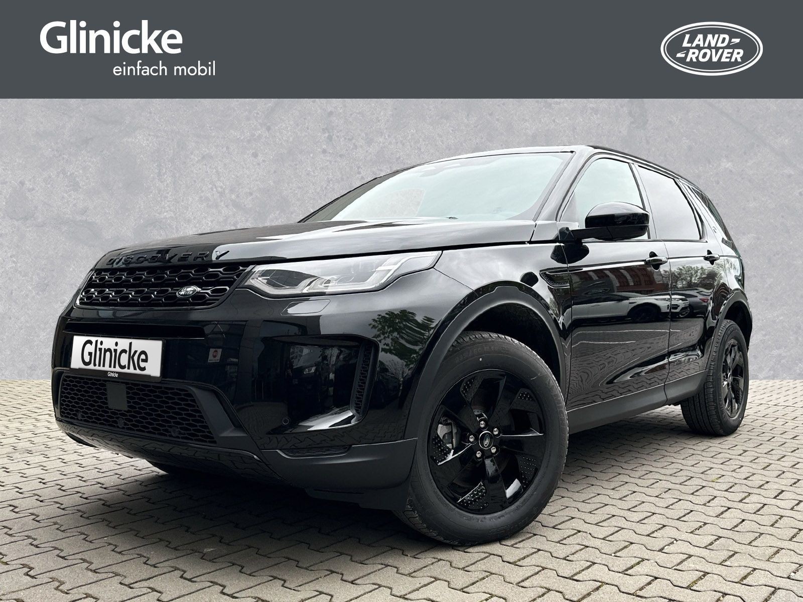 Discovery Sport Land Rover Discovery Sport D165 AWD SE Black Pack Winter