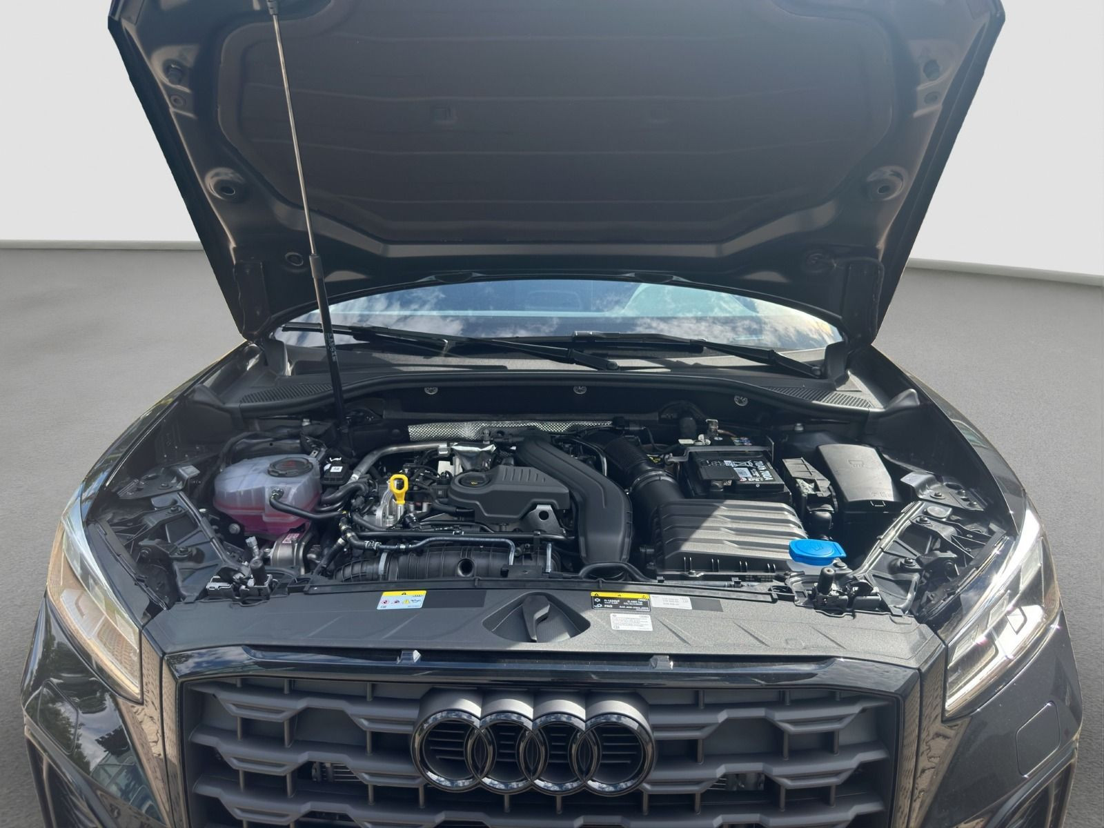 Audi - Q2_24