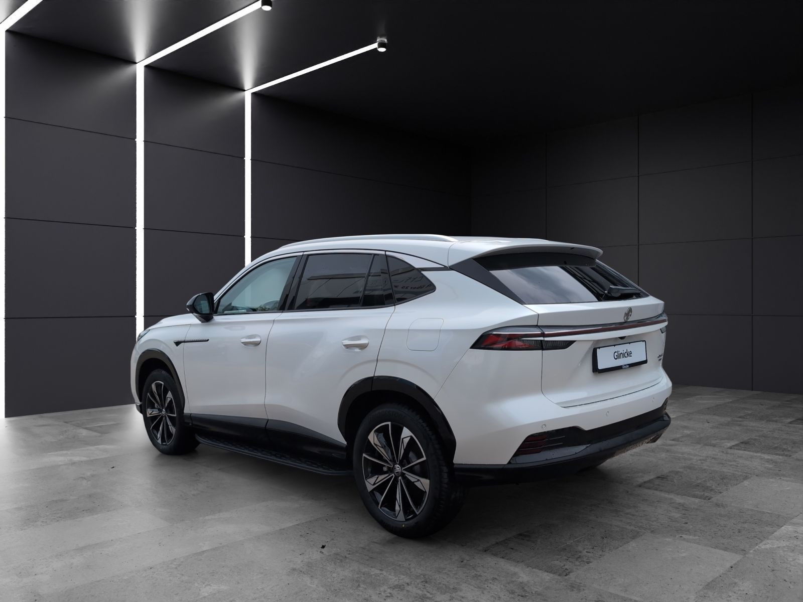 MG - HS_3 MG - HS_3