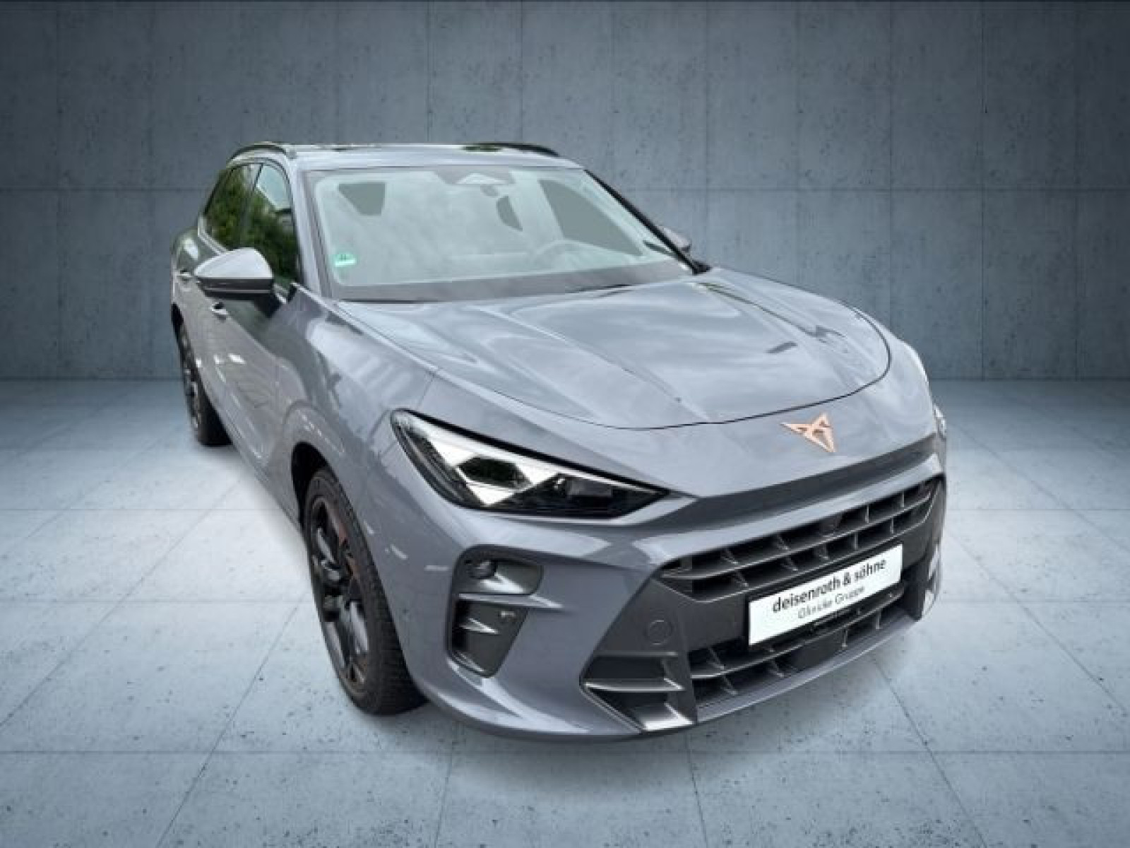 Cupra - Terramar_32