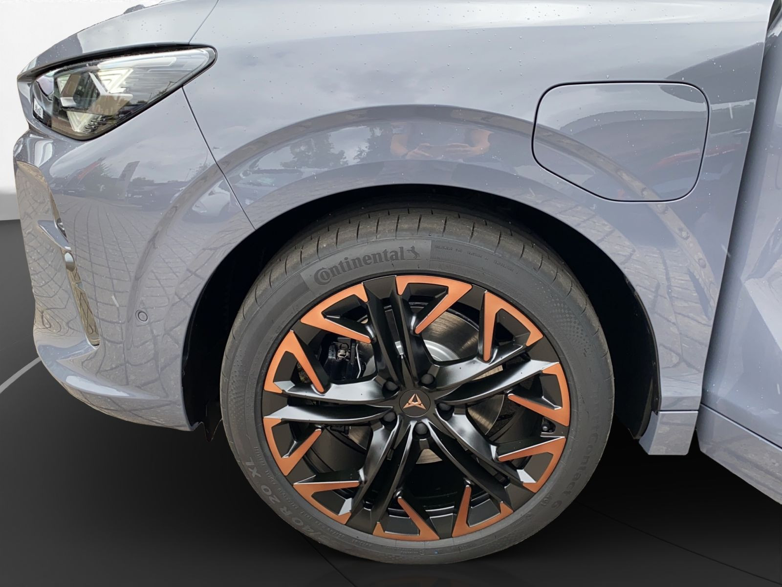 Cupra - Terramar_24