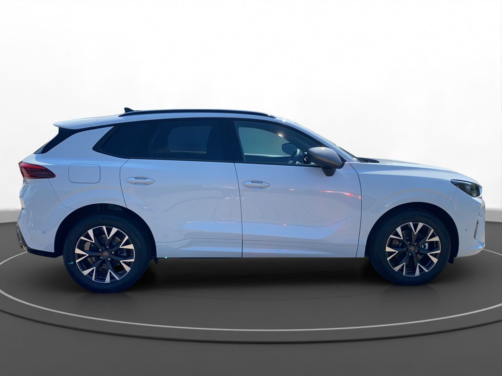 Cupra - Terramar_9