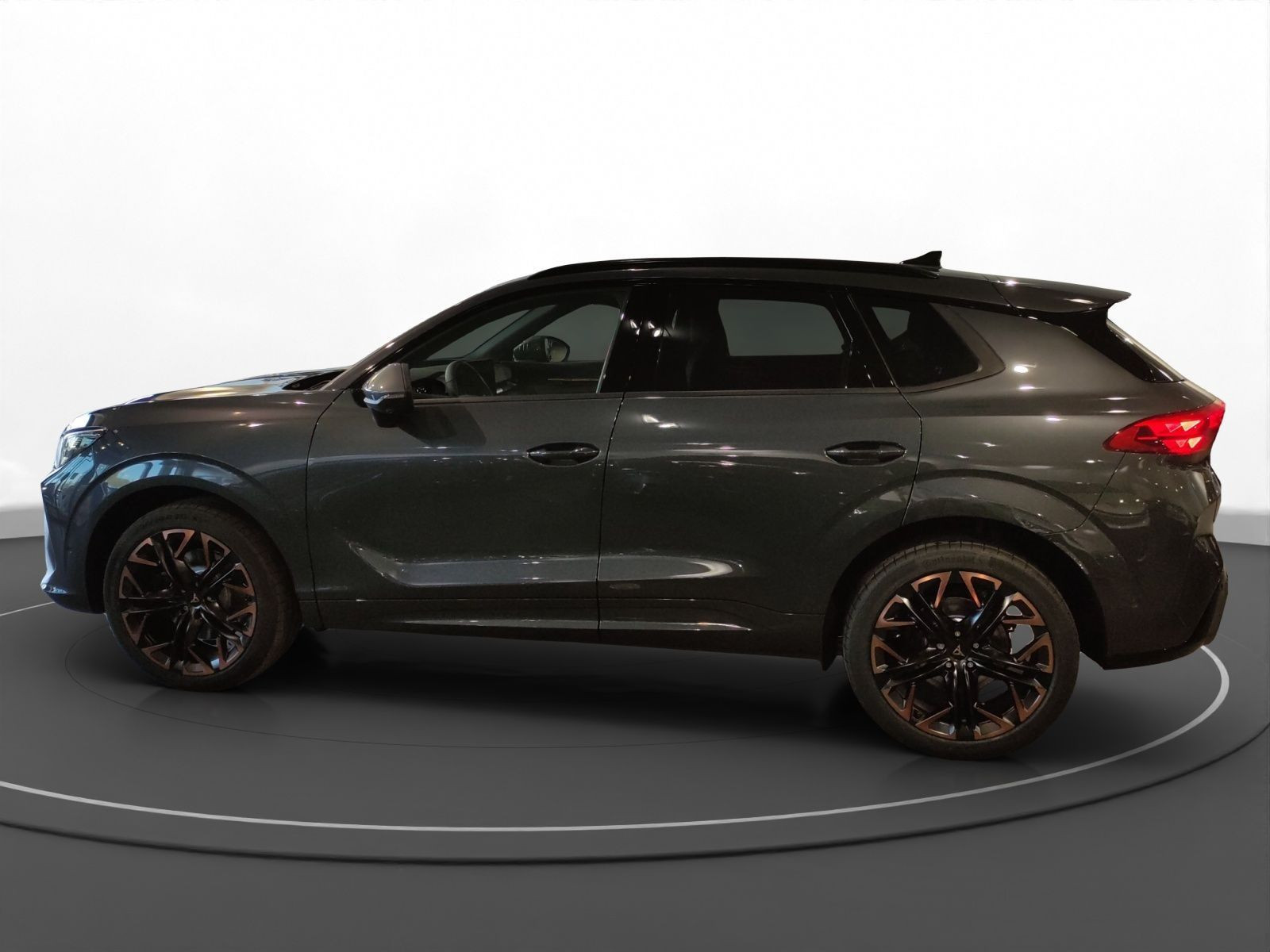 Cupra - Terramar_7