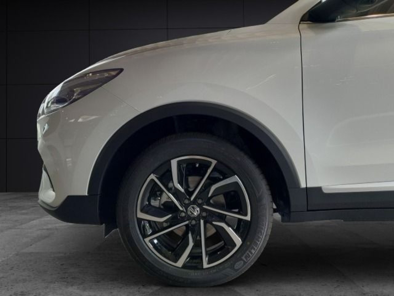MG - ZS_9 MG - ZS_9