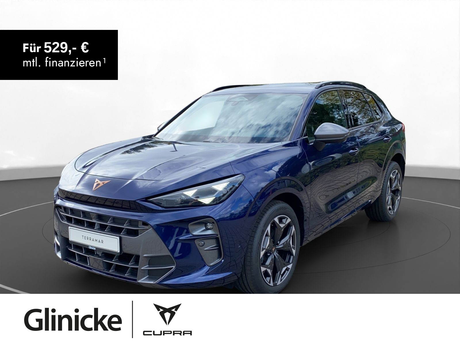 Cupra - Terramar_1