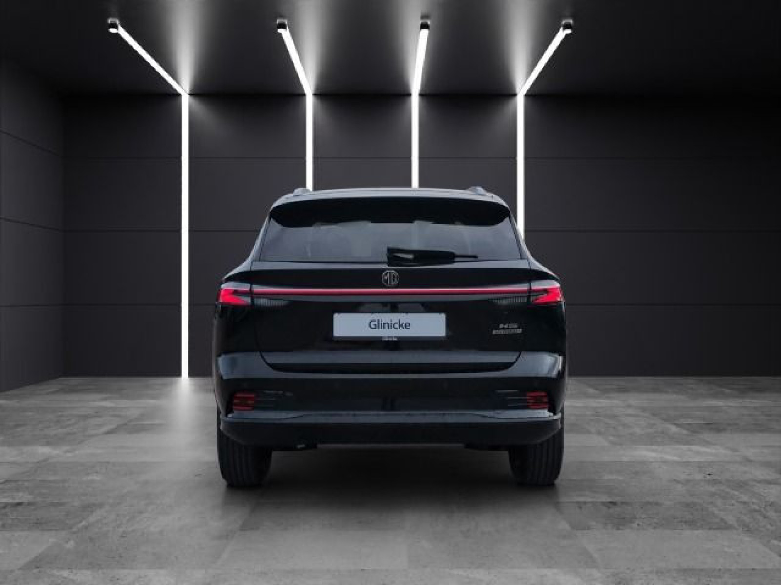 MG - HS_4 MG - HS_4