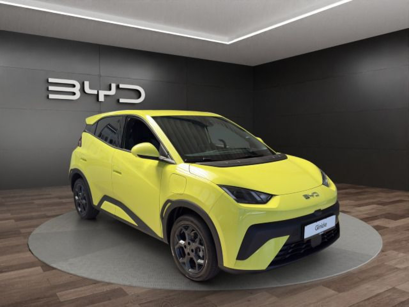 BYD - DOLPHIN_8