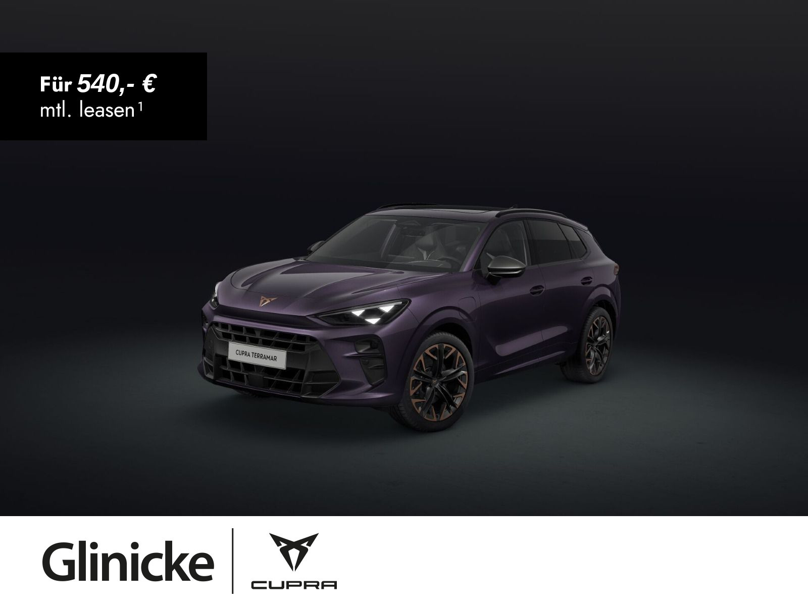 Cupra - Terramar_1