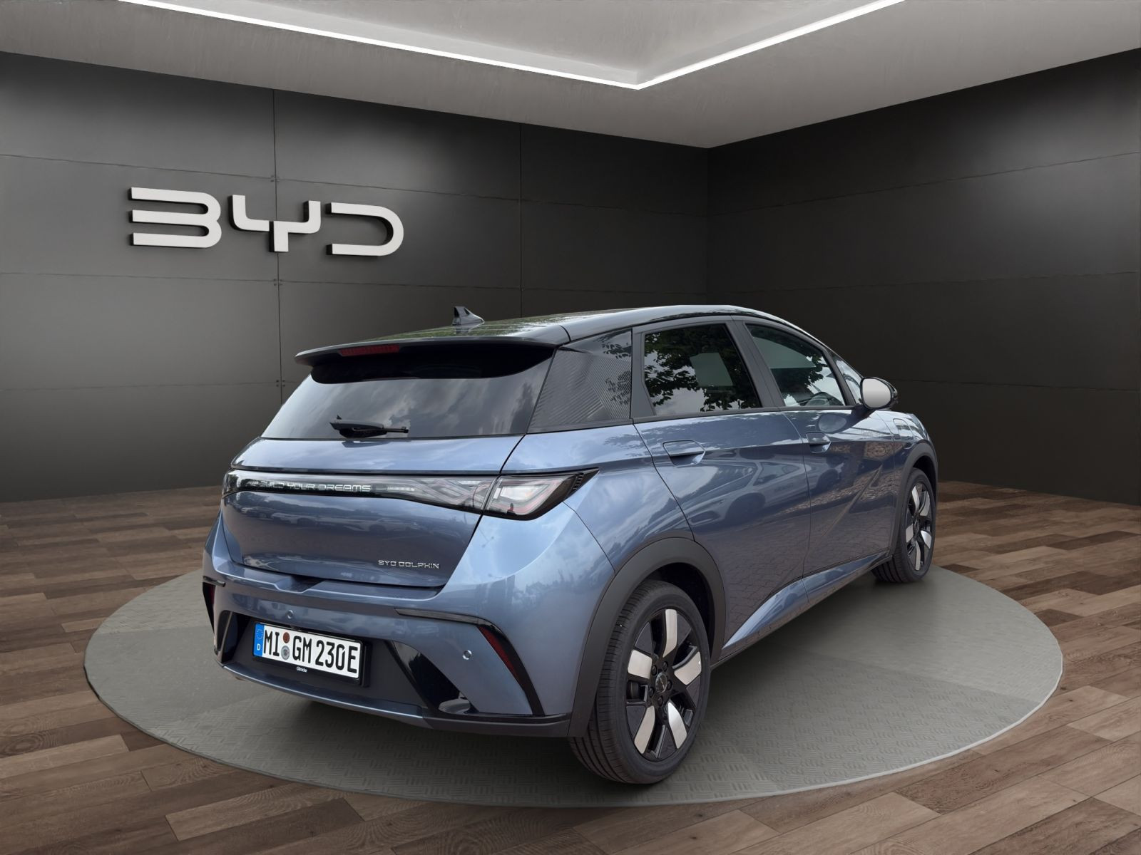 BYD - DOLPHIN_6