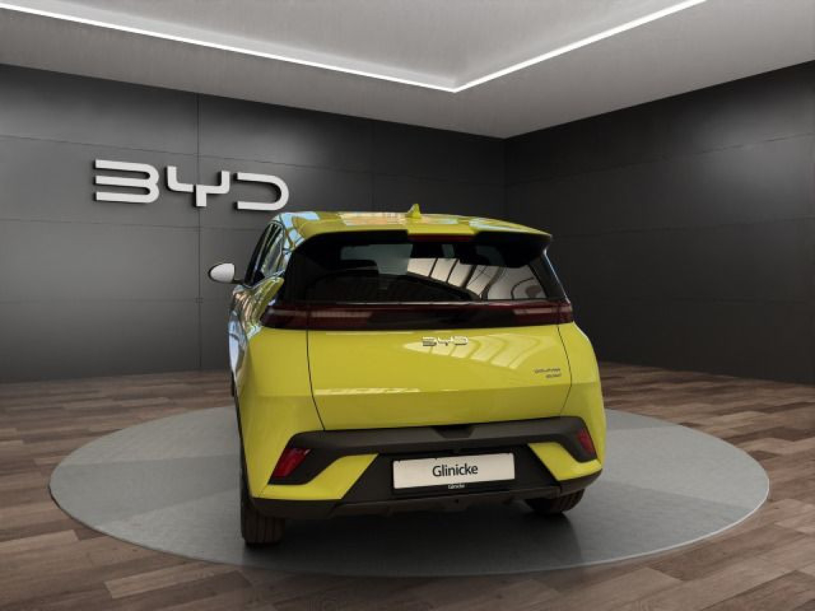 BYD - DOLPHIN_5