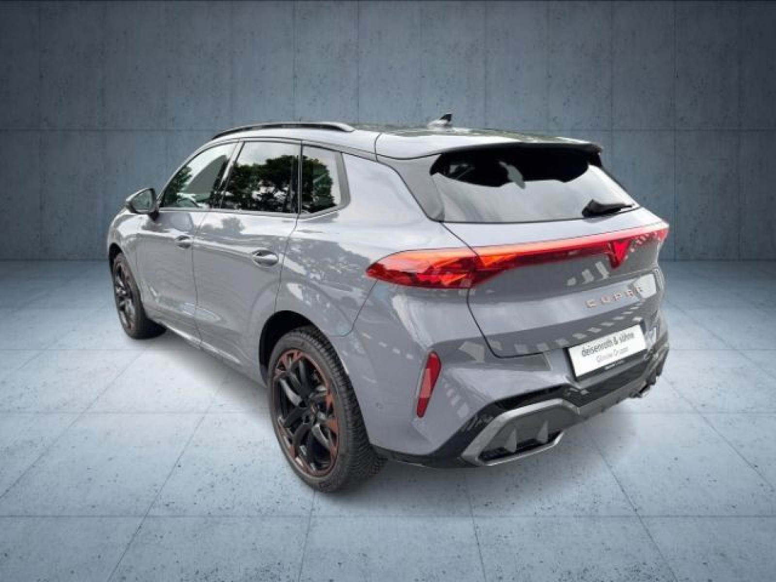 Cupra - Terramar_5