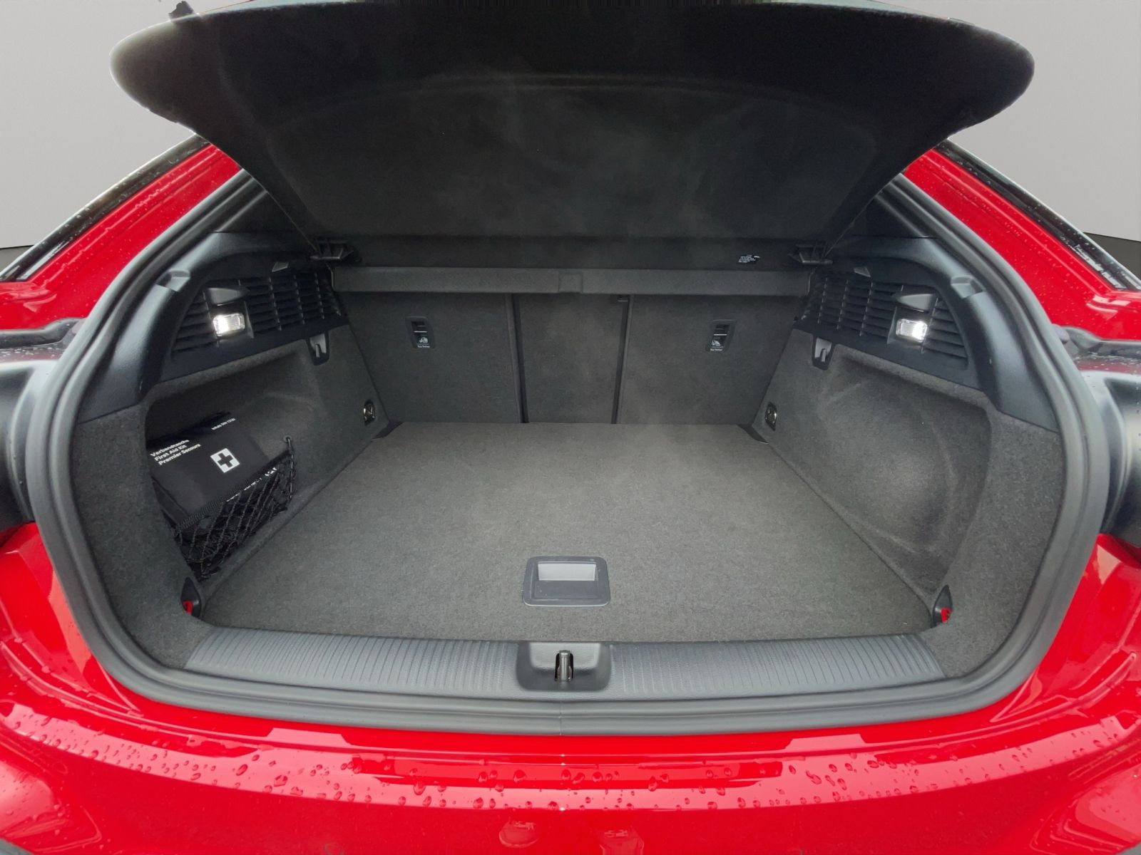 Audi - SQ2_20