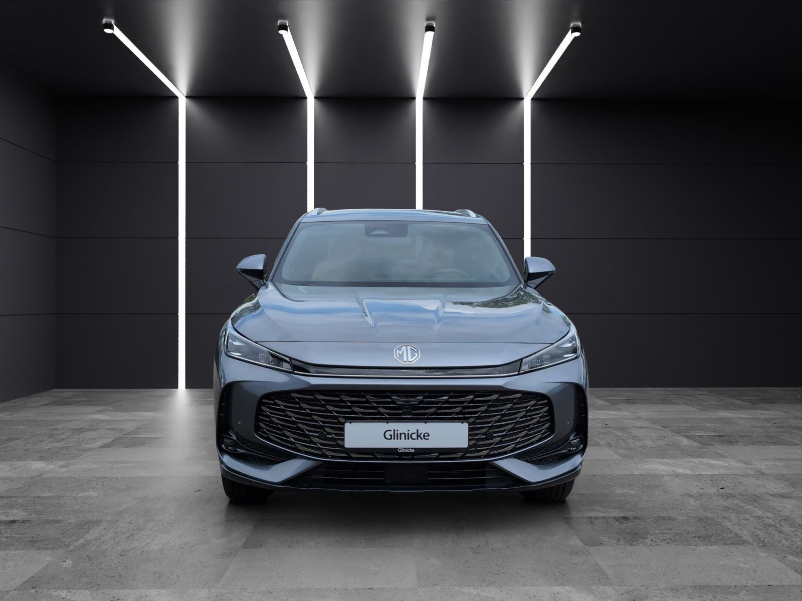 MG - HS_8 MG - HS_8