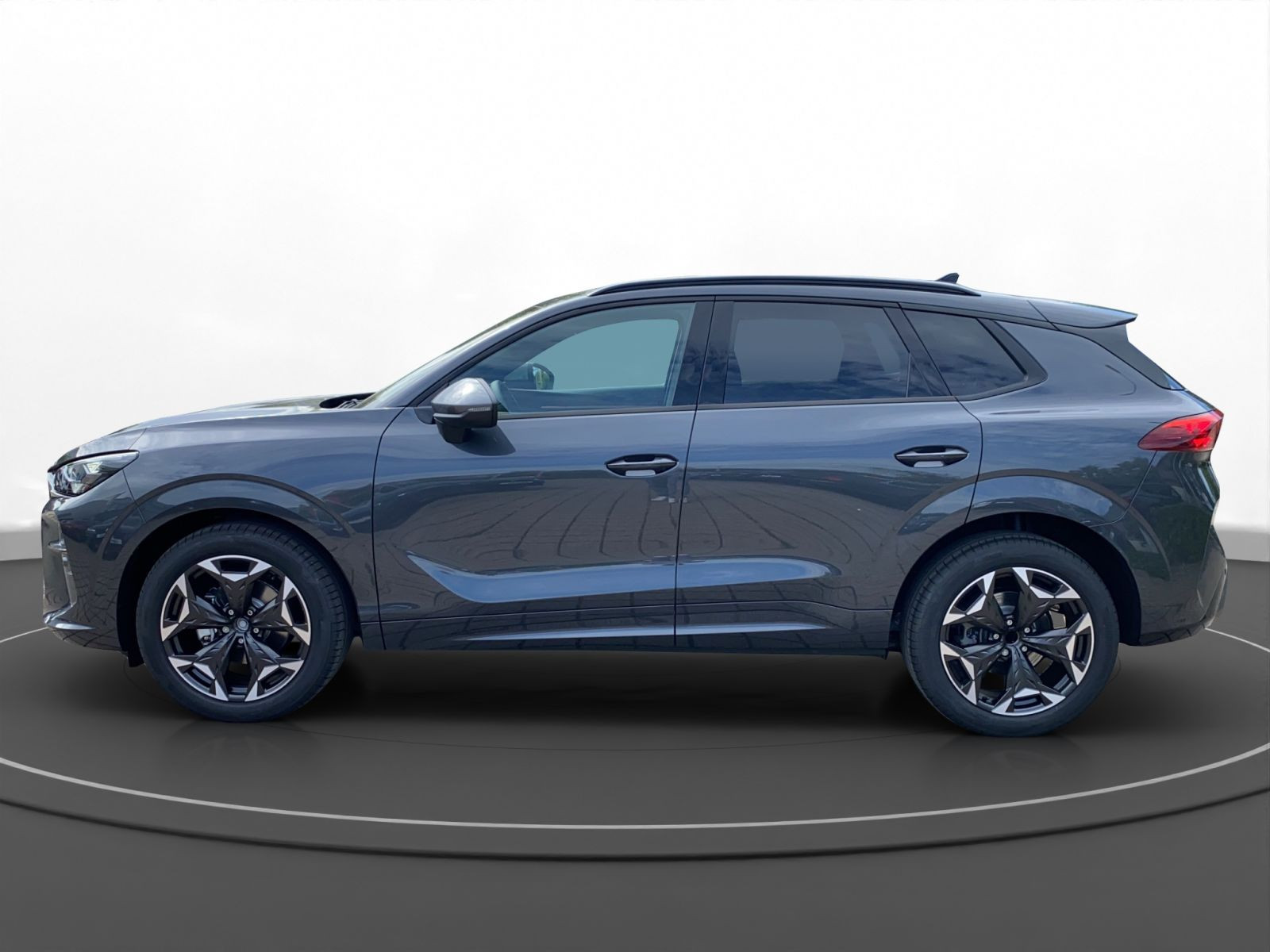 Cupra - Terramar_5
