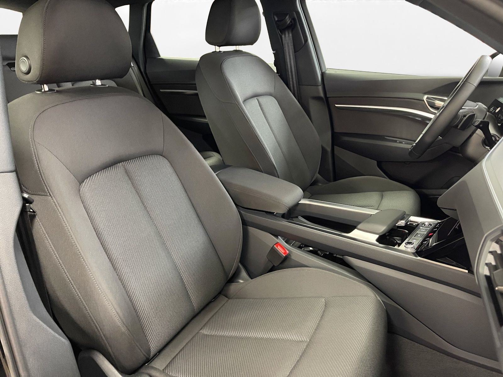 Audi - Q8 e-tron_18