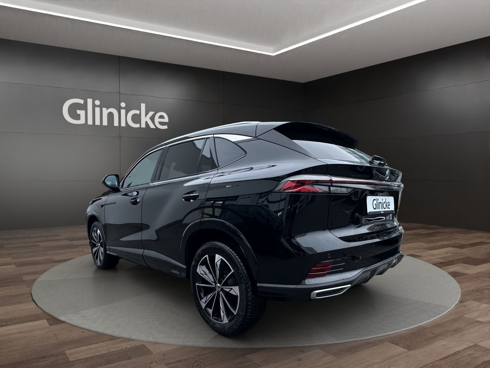 MG - HS_3 MG - HS_3