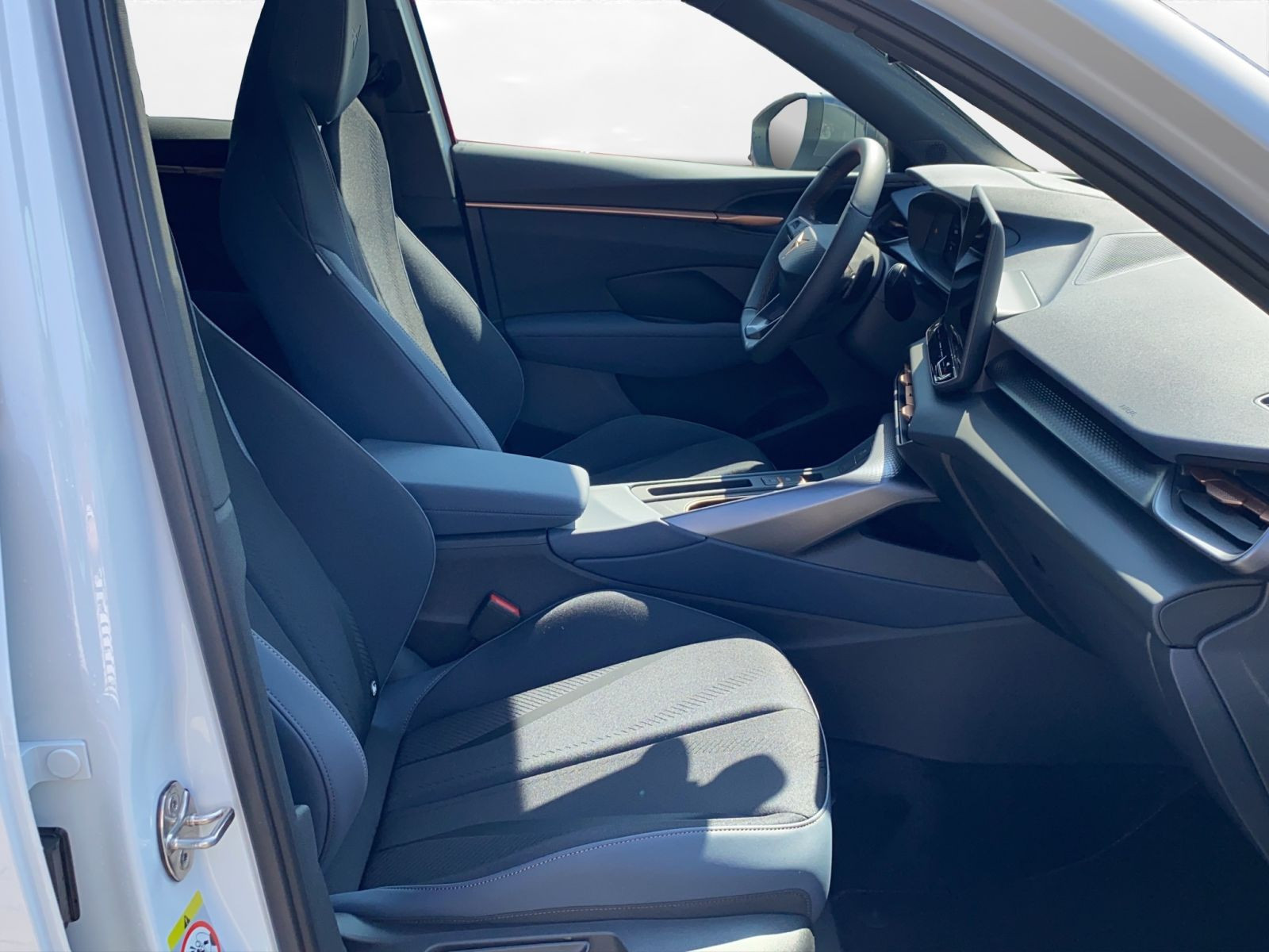 Cupra - Terramar_20
