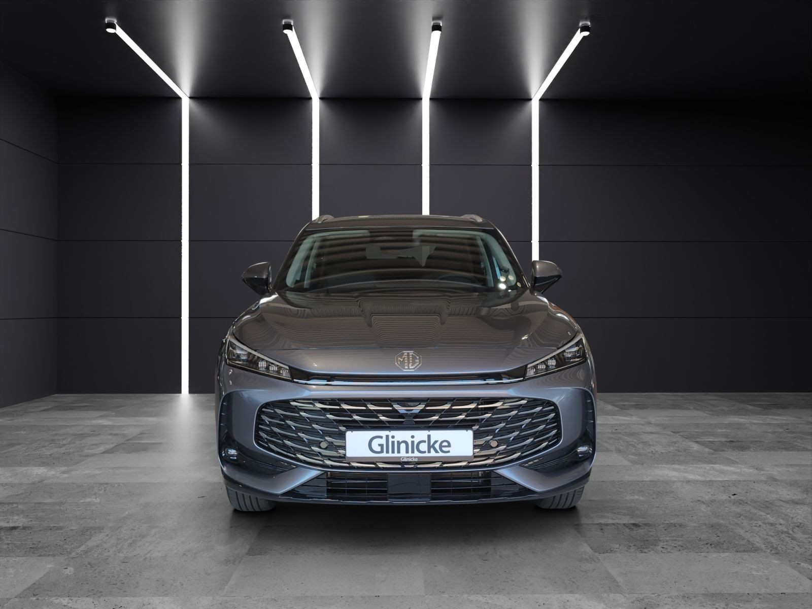 MG - HS_8 MG - HS_8