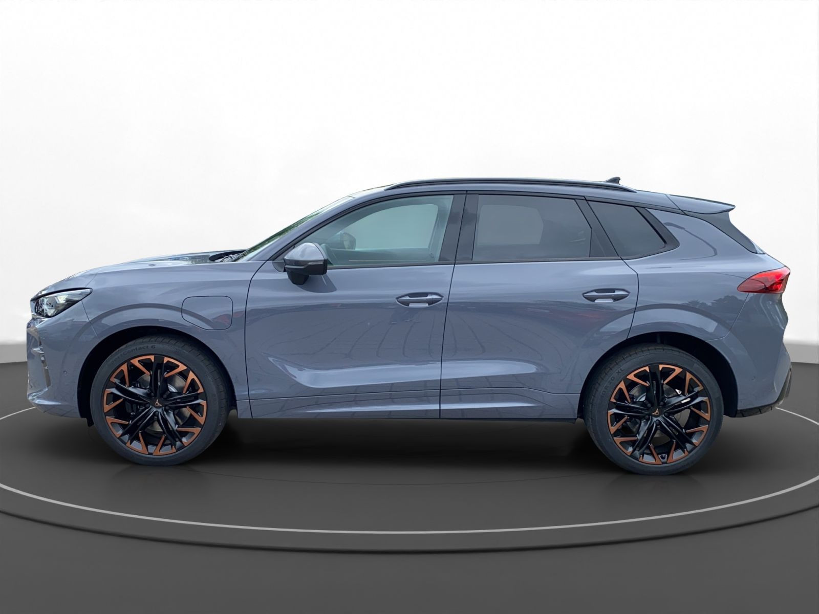 Cupra - Terramar_5