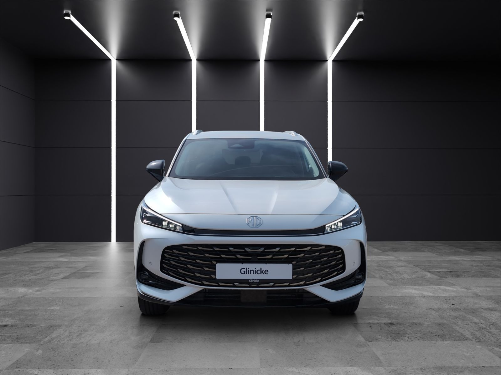 MG - HS_8
