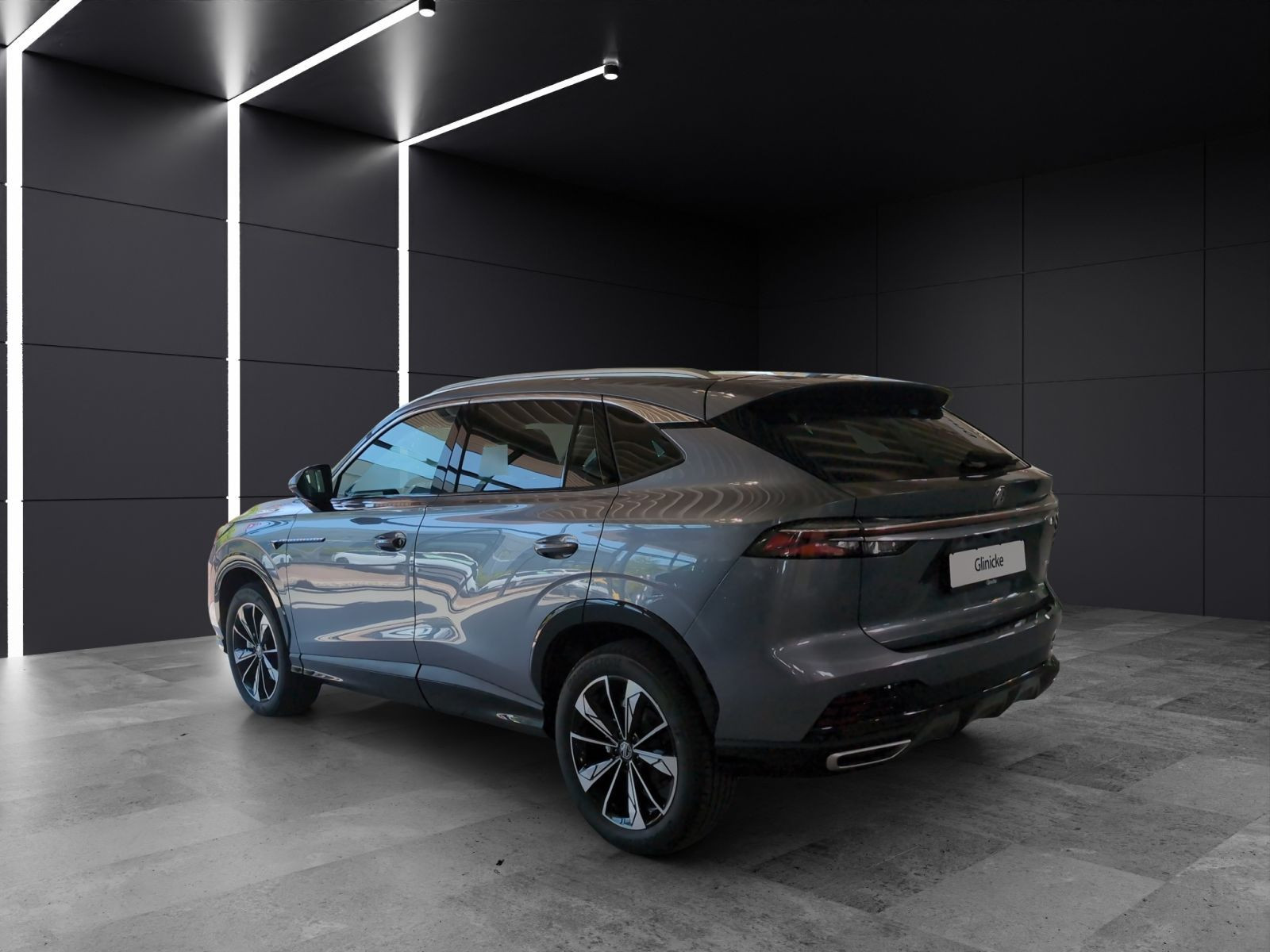 MG - HS_3 MG - HS_3