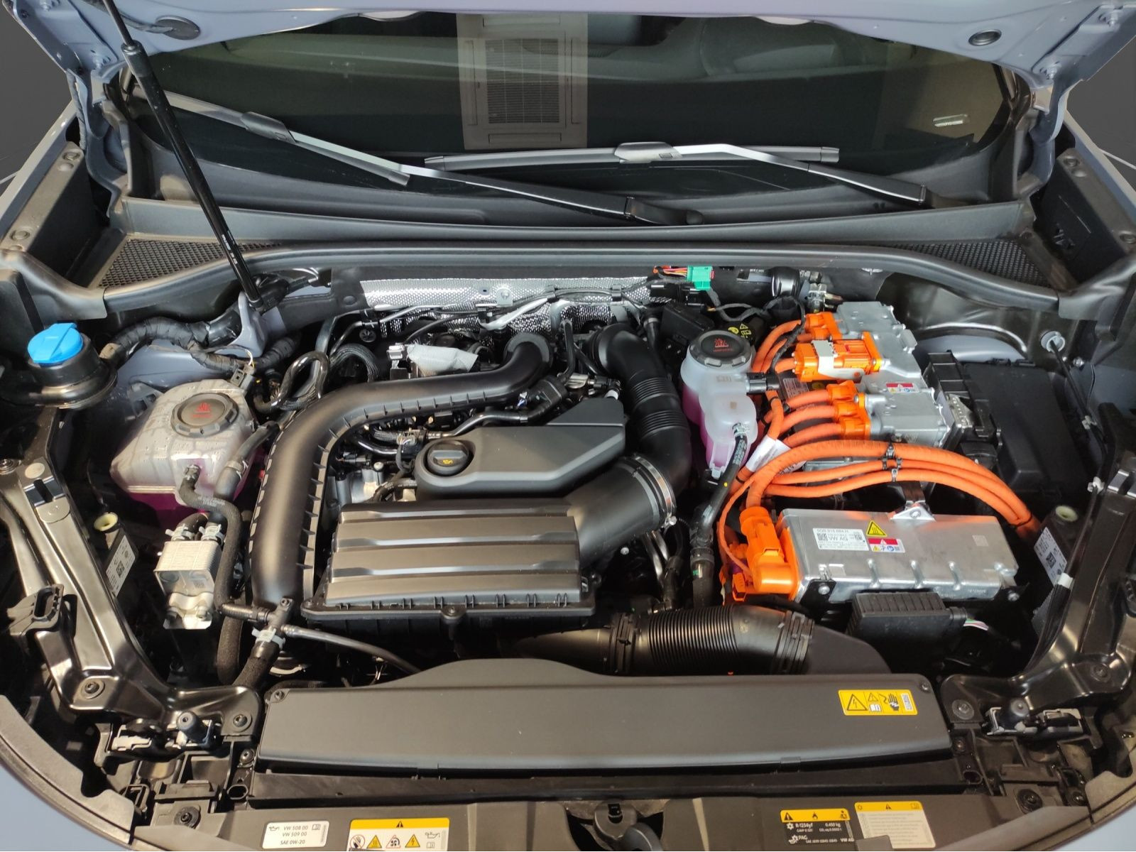 Cupra - Terramar_20