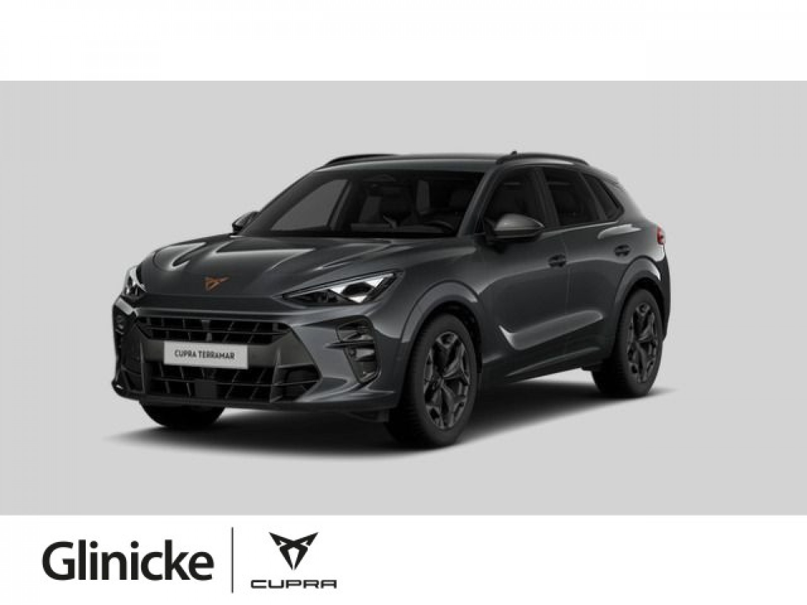 Terramar 2.0 TSI 150 kW DSG 4Drive AHK Sennheiser