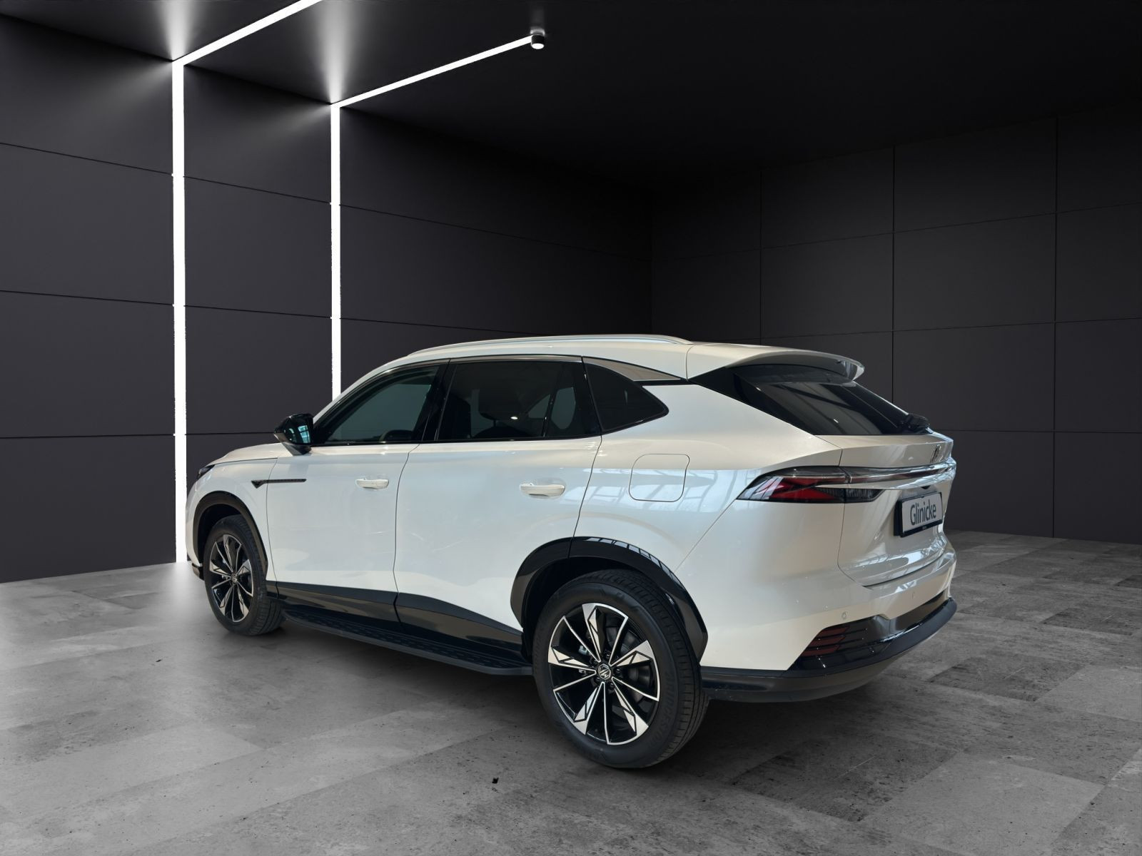 MG - HS_3