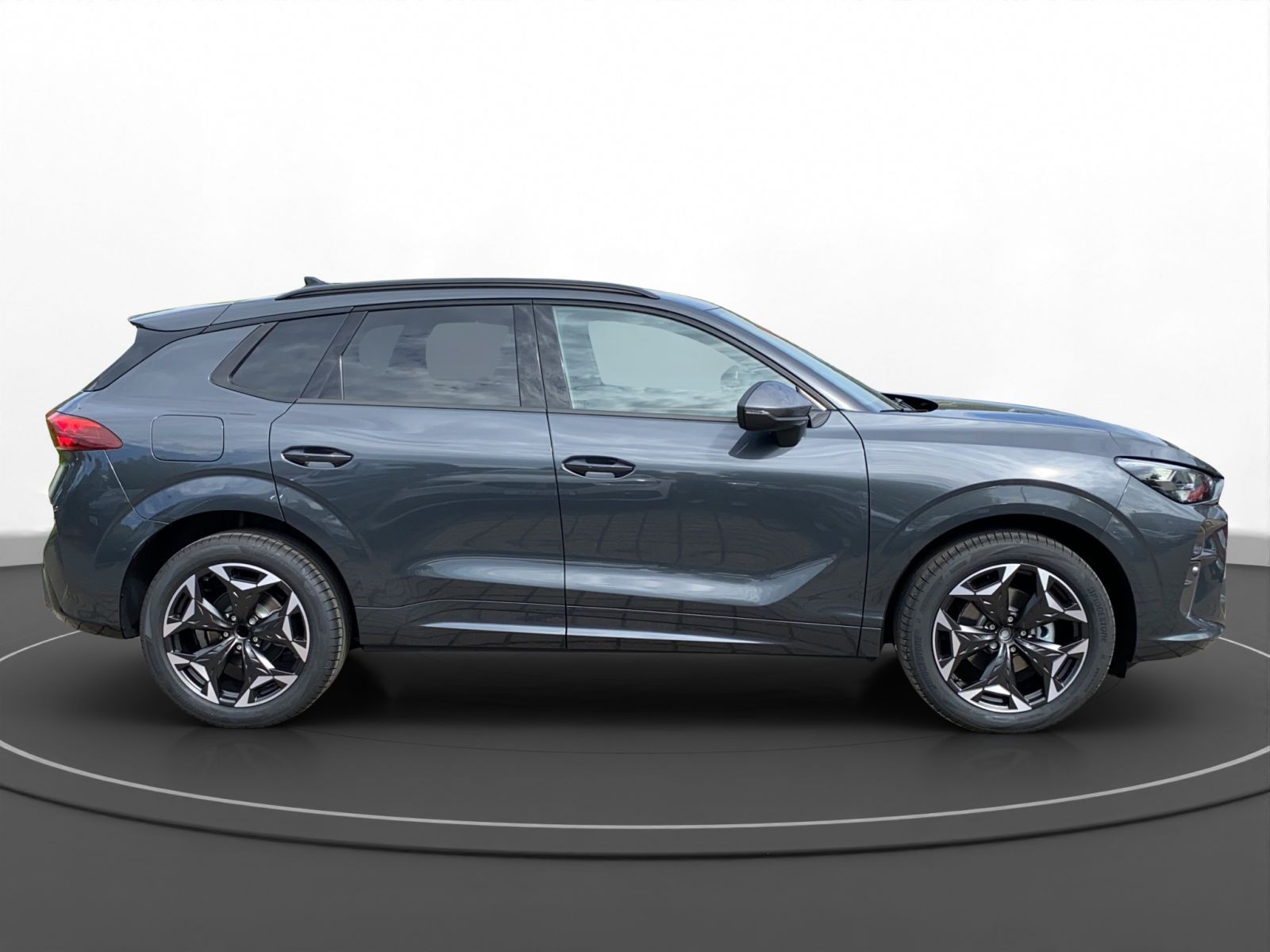 Cupra - Terramar_9