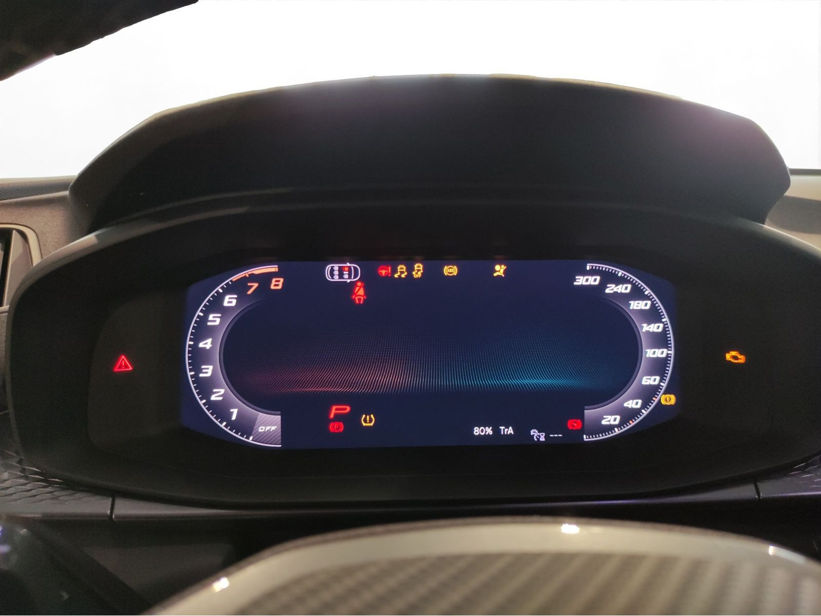 Cupra - Terramar_19