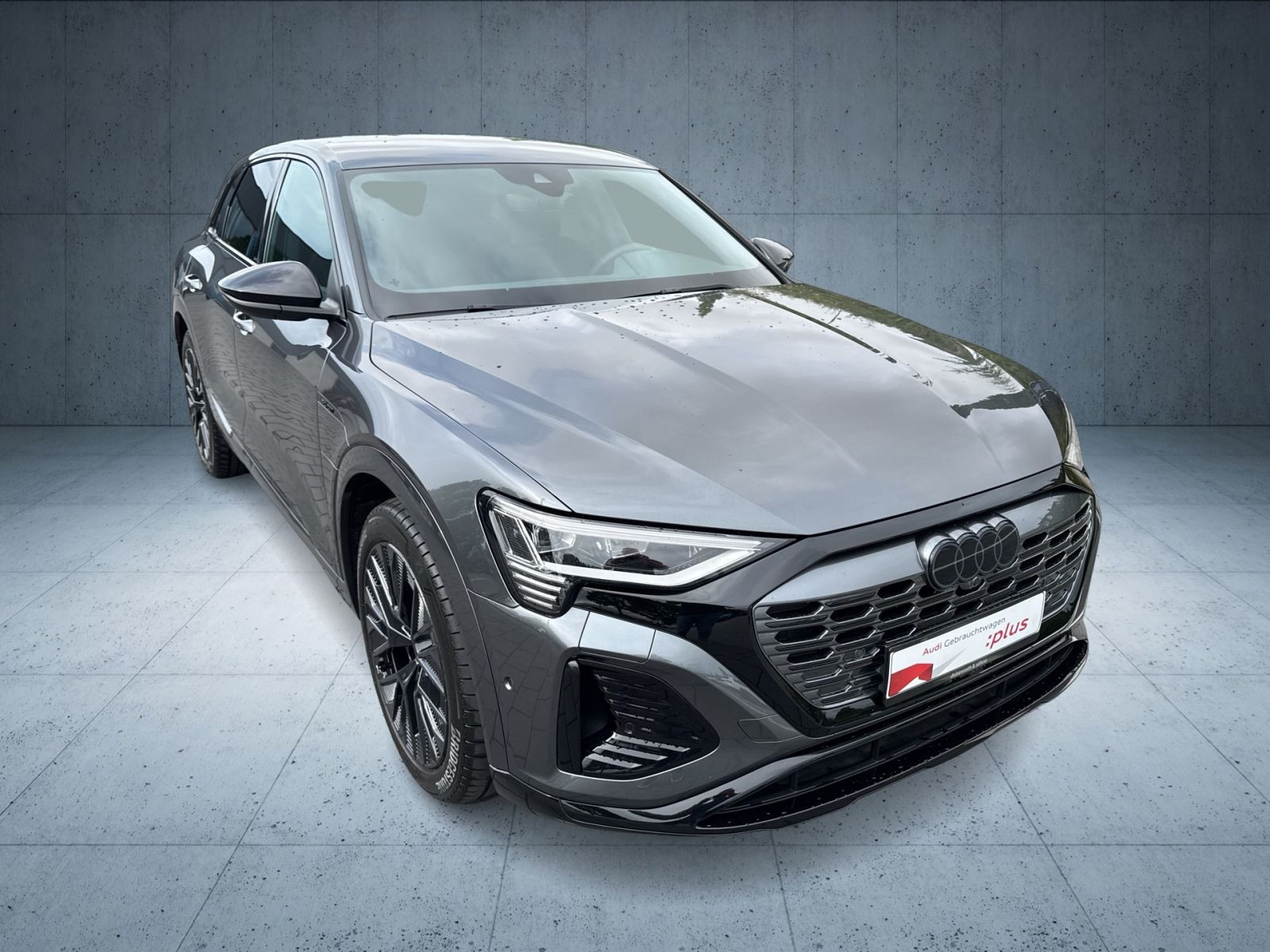 Audi - Q8 e-tron_29