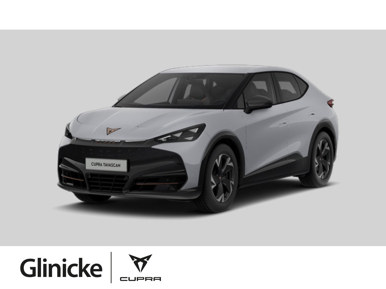 Tavascan Endurance 210 kW 77 kWh