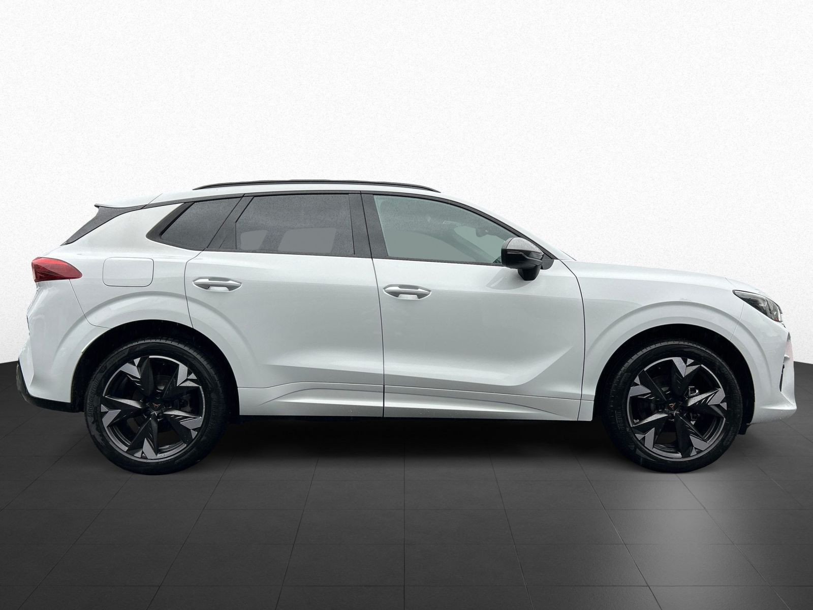 Cupra - Terramar_7