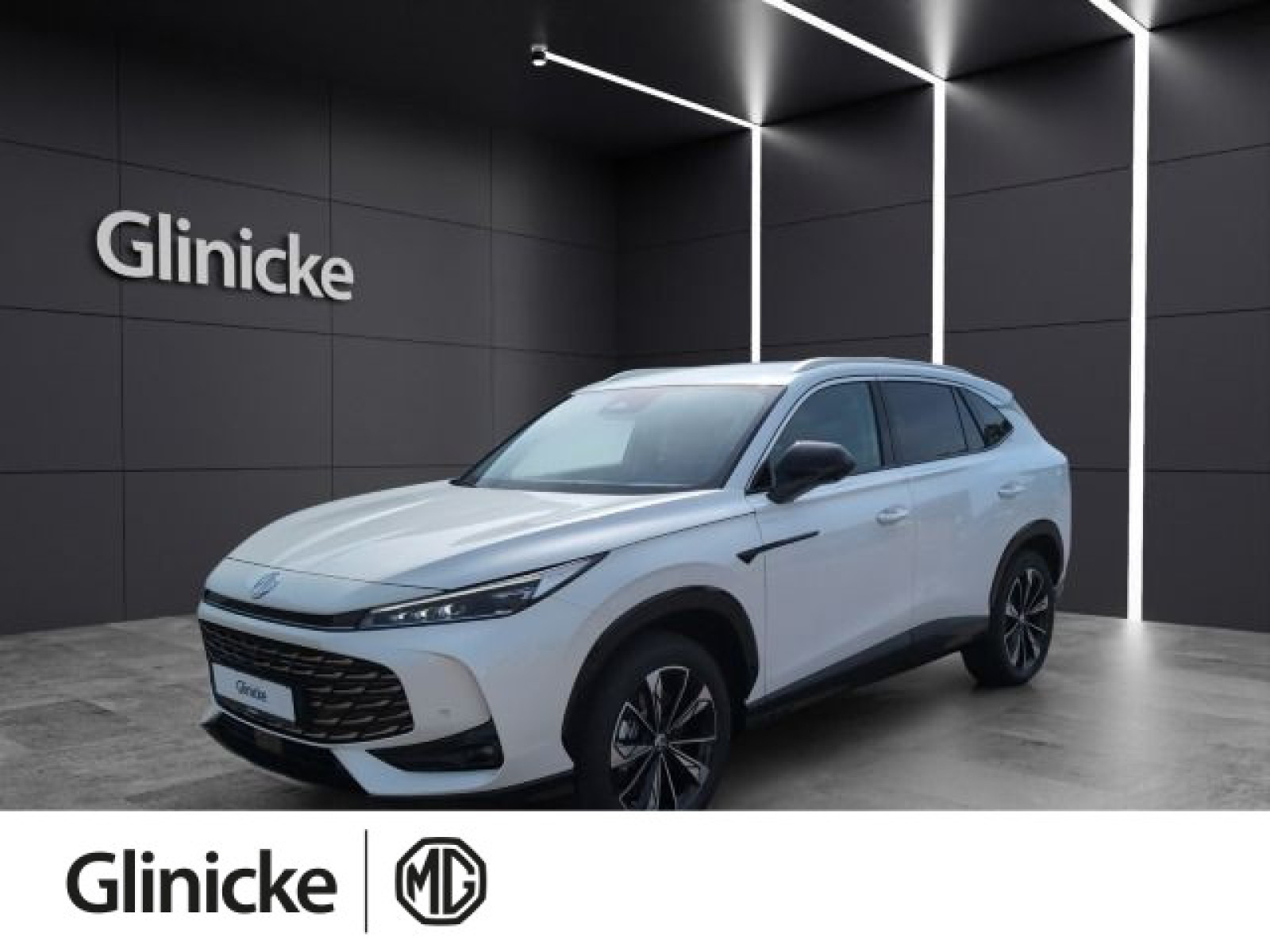 MG - HS_1 MG - HS_1