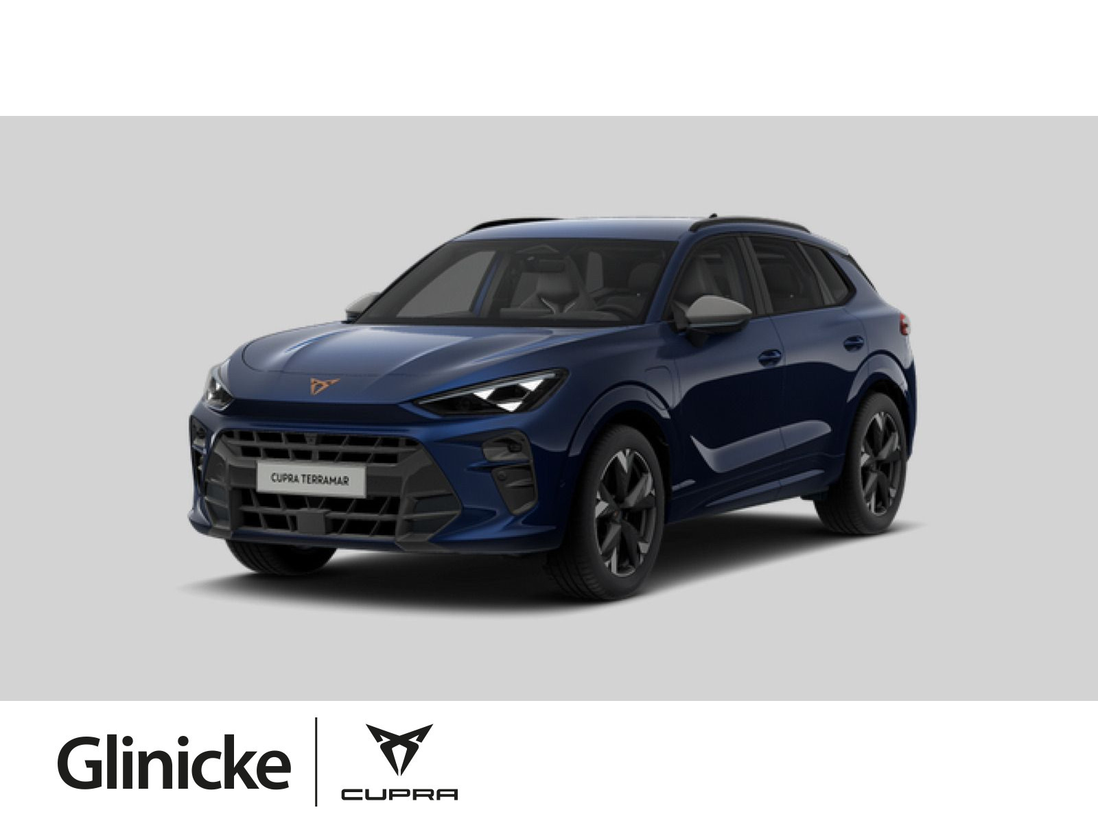Terramar VZ 1.5 e-HYBRID 200 kW DSG AHK Matrix-LED