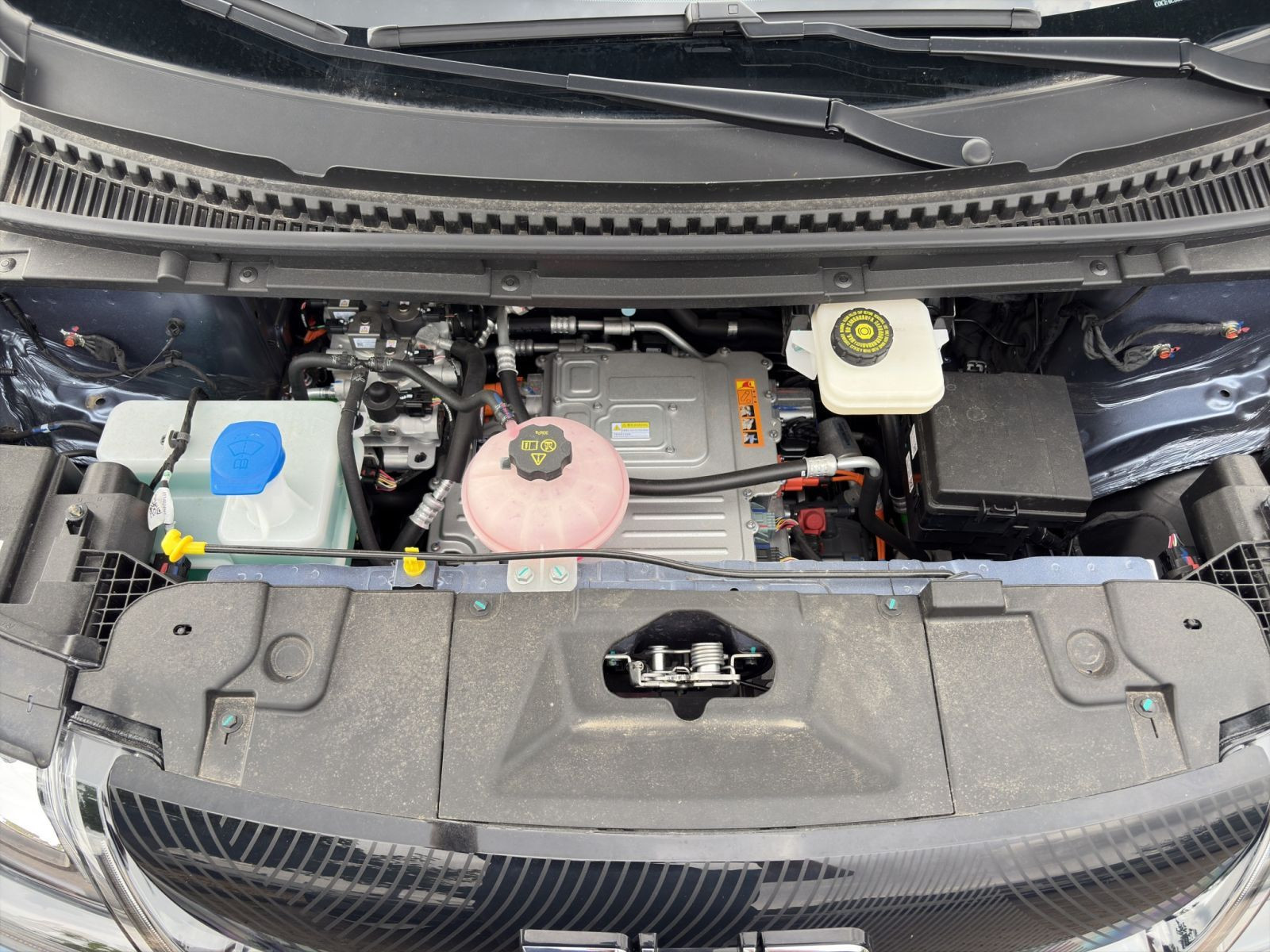 BYD - DOLPHIN_21