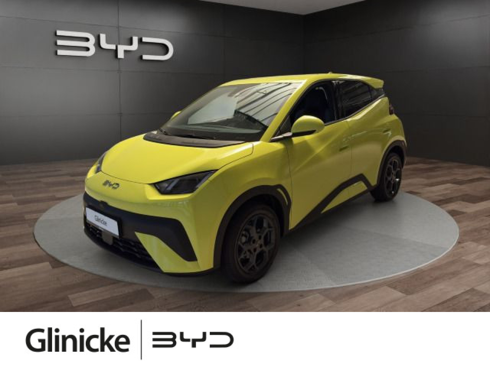 BYD - DOLPHIN_1