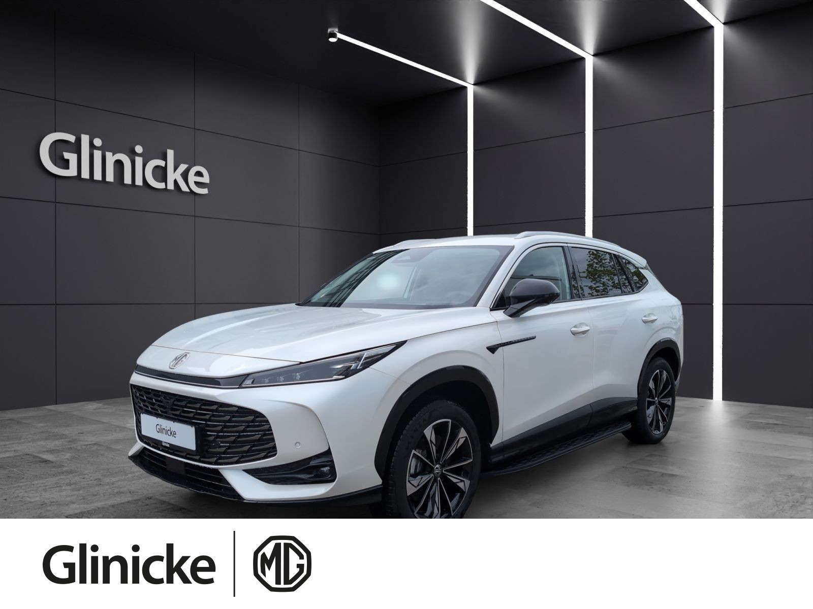 HS Luxury PHEV
