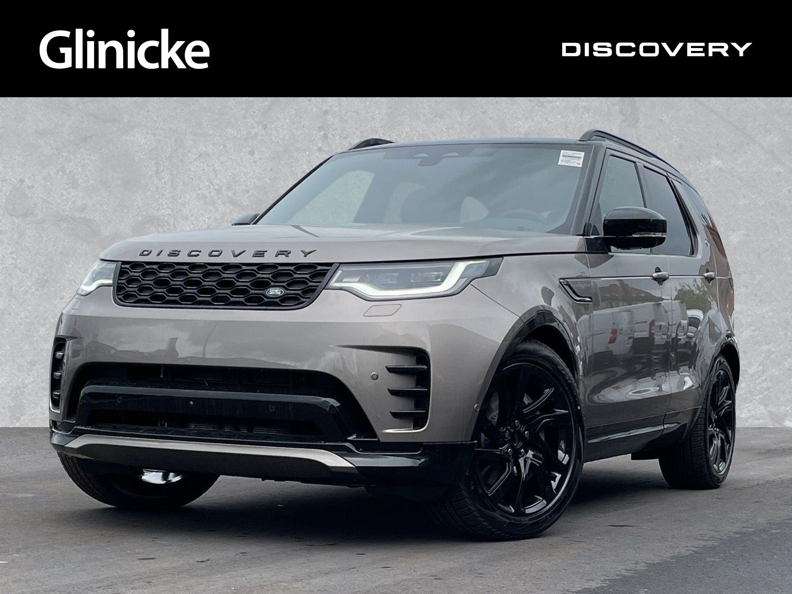 Discovery 3.0 Diesel D300 Dynamic HSE AHK elektr