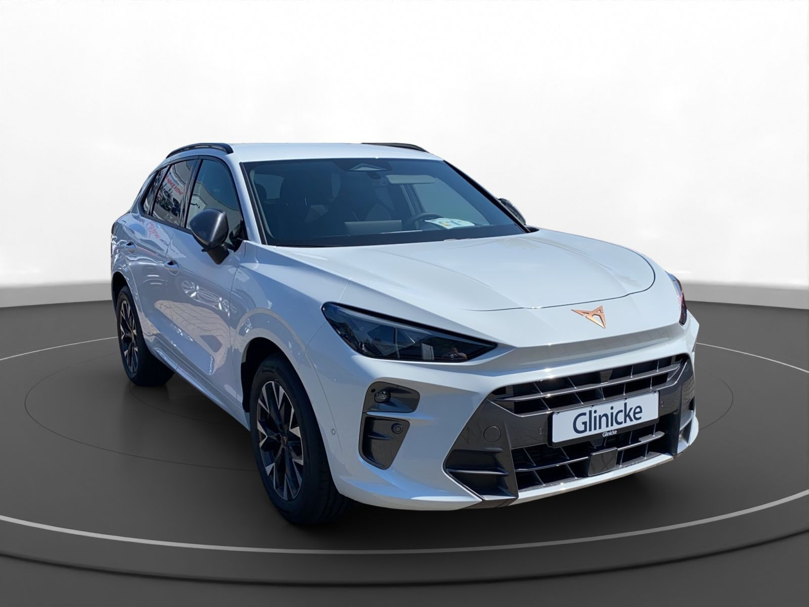 Cupra - Terramar_10