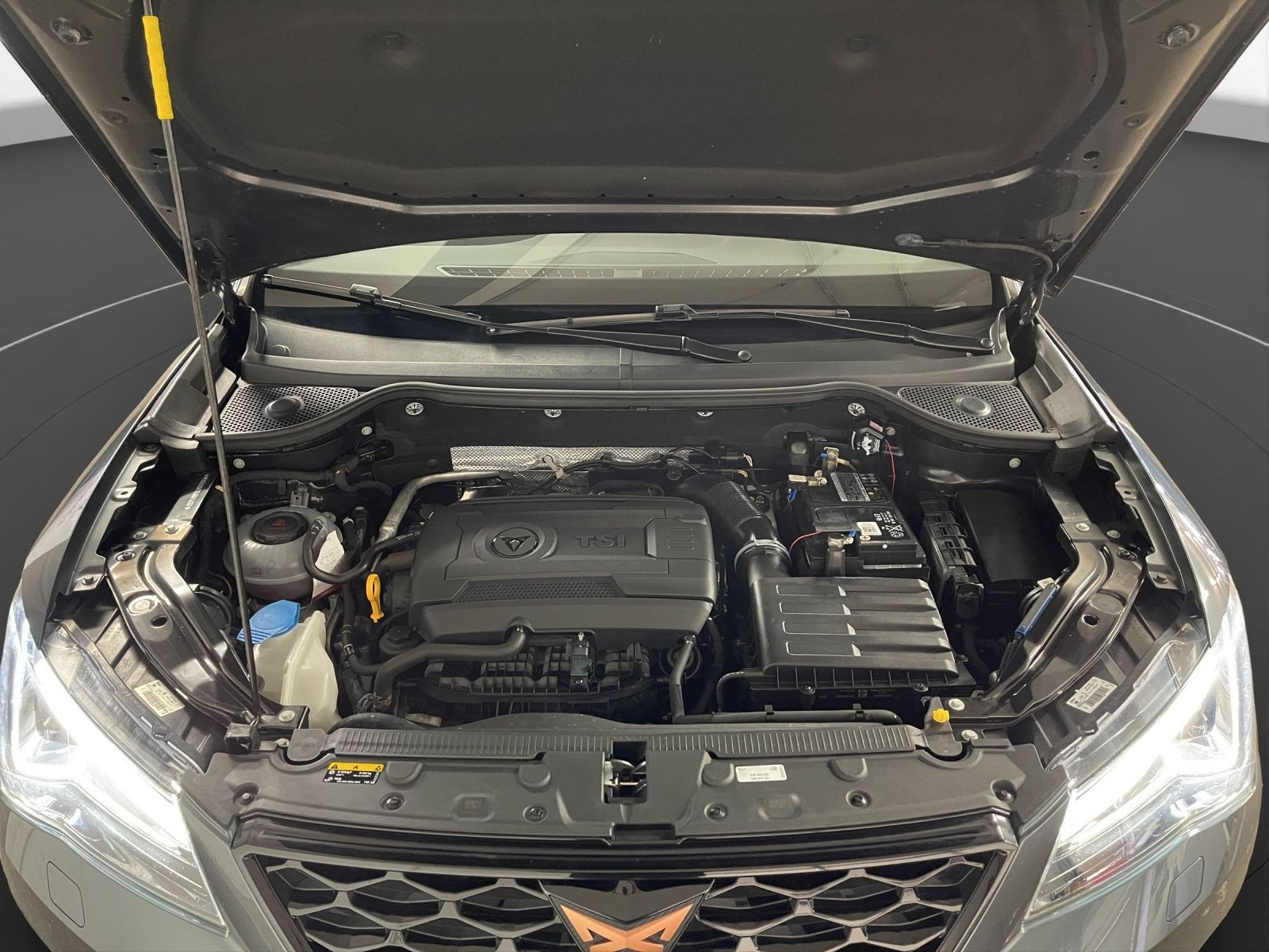 Cupra - Ateca_23